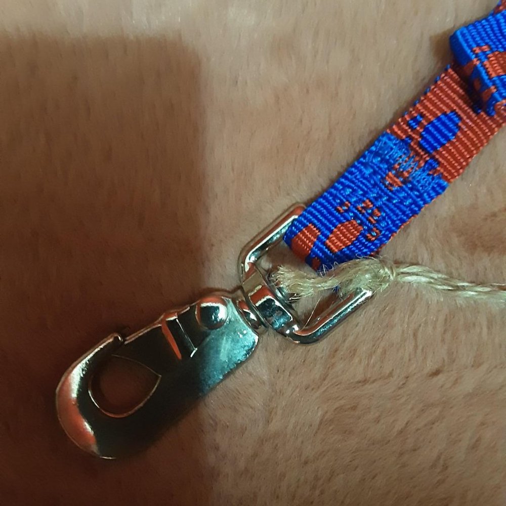 Red and Blue 3/4" x 4' paw print dog nylon leash
